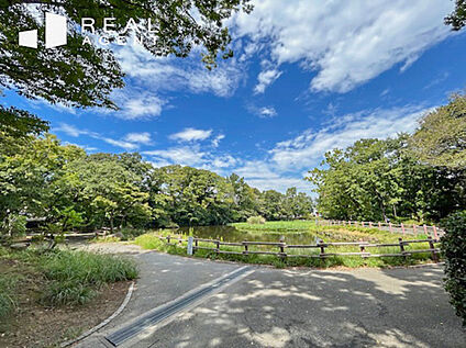 菊名池公園 1200ｍ