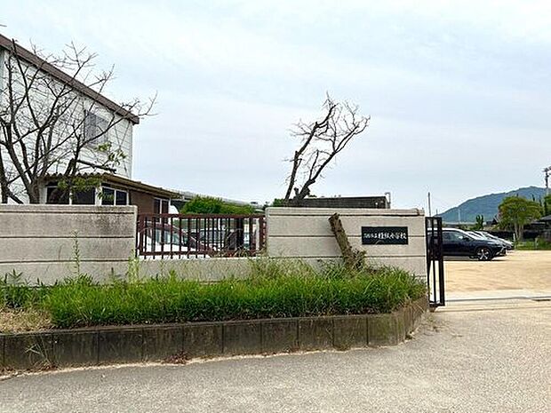 高松市立檀紙小学校(約1,567m)