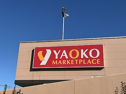 ヤオコー入間下藤沢店 約540ｍ(徒歩7分)