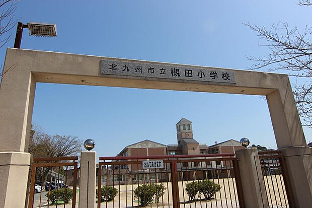 槻田小学校（約500m）