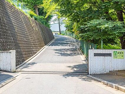 船橋市立高根東小学校 530ｍ(徒歩7分)