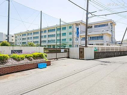 茅ヶ崎市立今宿小学校 756m(10分)