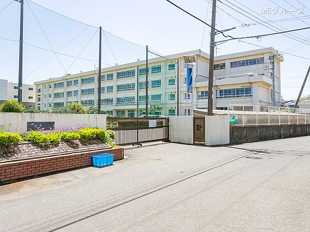 茅ヶ崎市立今宿小学校（約756m・徒歩10分）