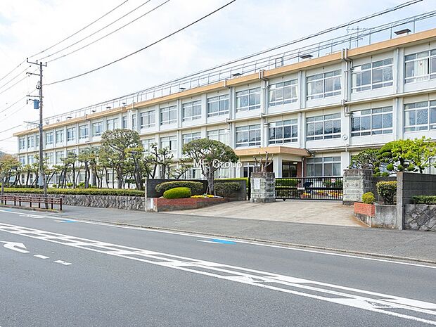 平塚市立浜岳中学校(約800m・徒歩10分)