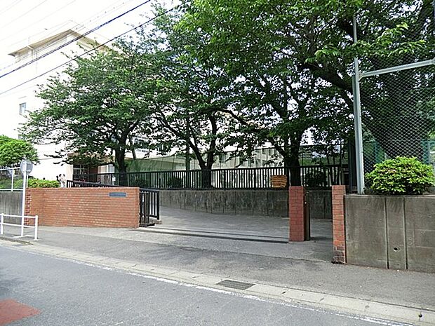 藤沢市立新林小学校(約700m・徒歩9分)