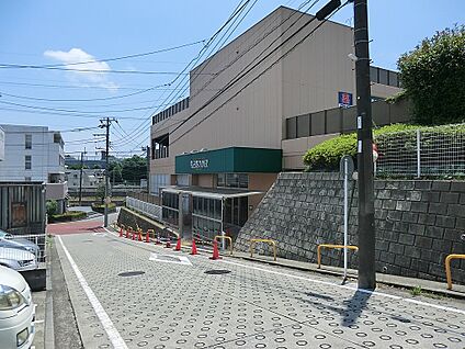 食品館あおば 荏田北店 1200m(15分)