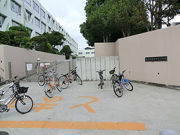 藤沢市立御所見小学校（約2,600m・徒歩33分）