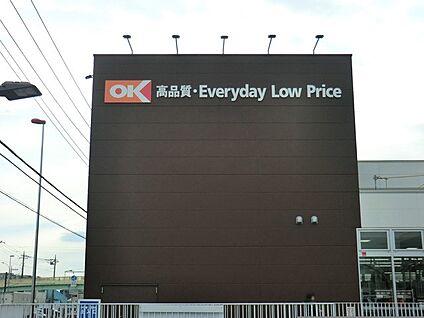 オーケー下九沢店 800m(10分)