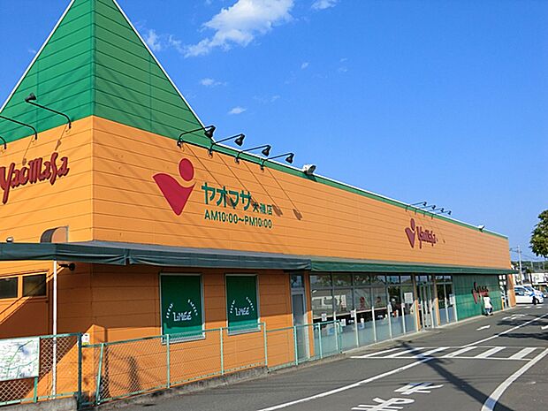 ヤオマサ大磯店（約500m・徒歩7分）