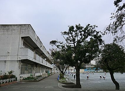 横浜市立二ツ橋小学校 450m(6分)