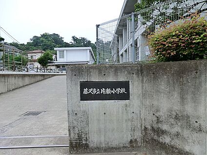 藤沢市立片瀬小学校 600m(8分)