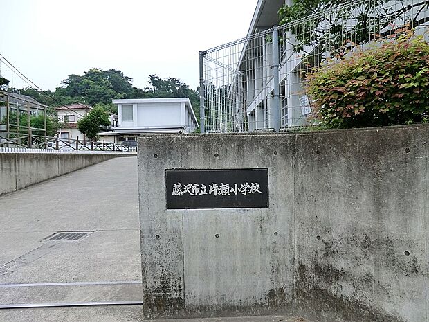 藤沢市立片瀬小学校(約600m・徒歩8分)