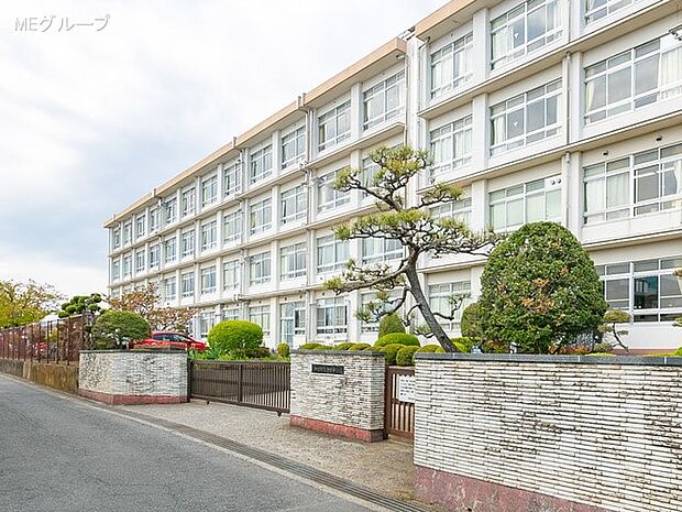 平塚市立金目中学校(約341m・徒歩5分)