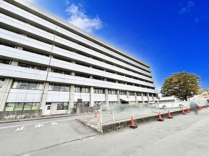 小田原市立病院 1000m(13分)