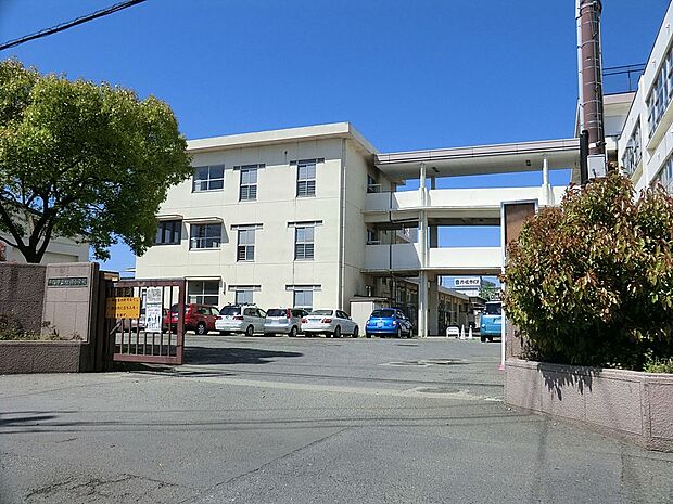 平塚市立相模小学校（約480m・徒歩6分）