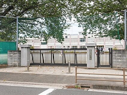 大和市立桜ケ丘小学校 969m(13分)