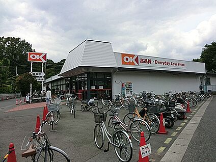 オーケー 大和上和田店 1000m(13分)