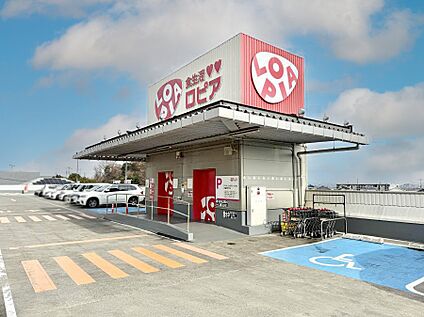 ロピア湘南めぐみが丘店 1000m(13分)