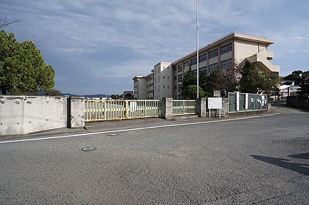 小田原市立報徳小学校（約1,040m・徒歩13分）