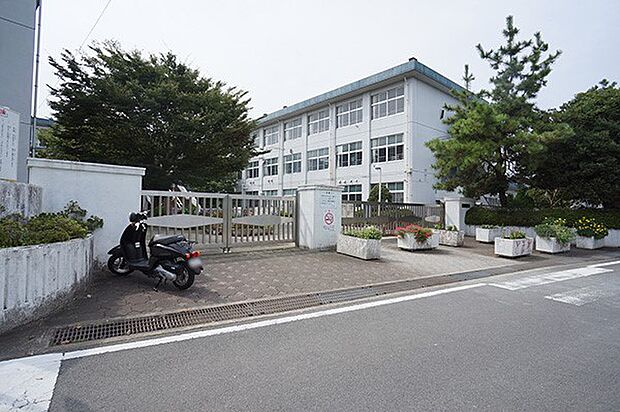 小田原市立富水小学校(約400m・徒歩5分)