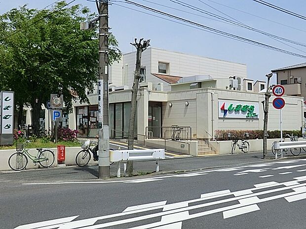 しまむらストアー すみれ平店(約500m・徒歩7分)