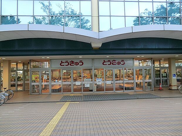 東急ストア湘南とうきゅう(約1,000m・徒歩13分)