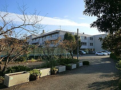 横浜市立深谷中学校 750m(10分)
