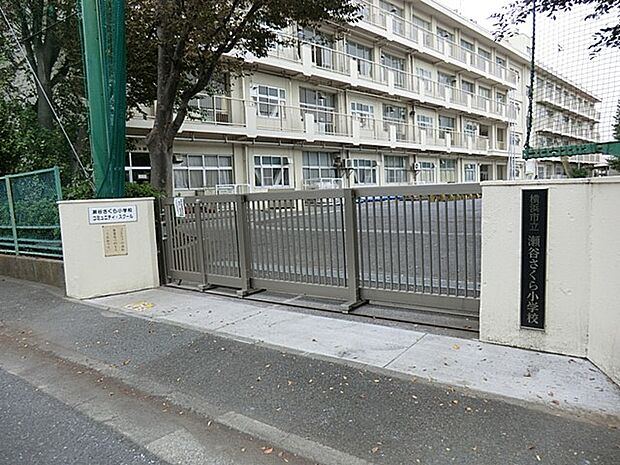 横浜市立瀬谷さくら小学校(約399m・徒歩5分)
