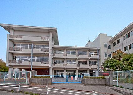 鎌倉市立関谷小学校 700m(9分)