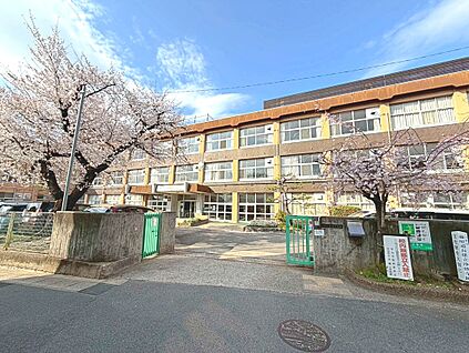 木幡小学校 約642ｍ(徒歩9分)