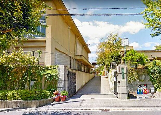 紫竹小学校