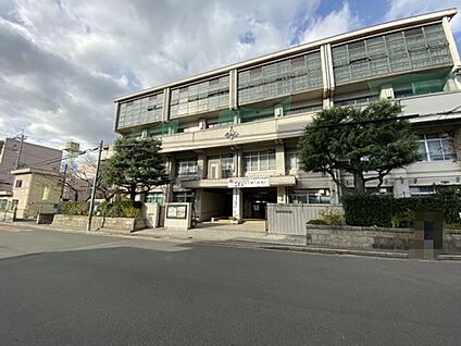 伏見中学校 約767ｍ(徒歩10分)