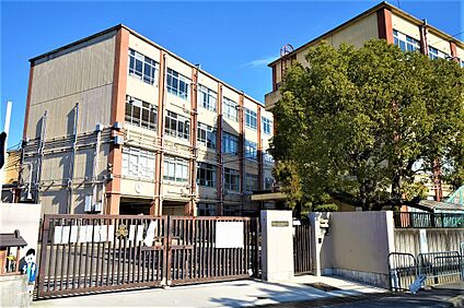 百々小学校 約536ｍ(徒歩7分)