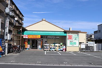 ドラッグひかり嵯峨店 約954ｍ(徒歩12分)
