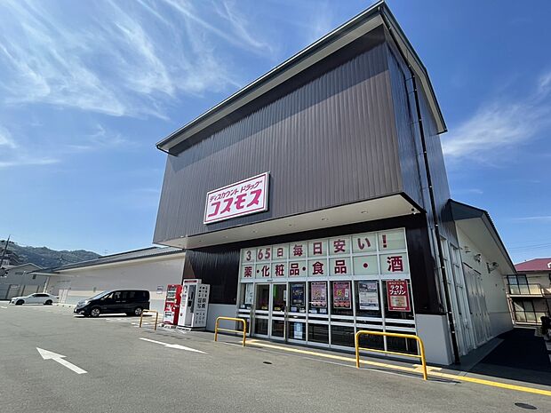 コスモス