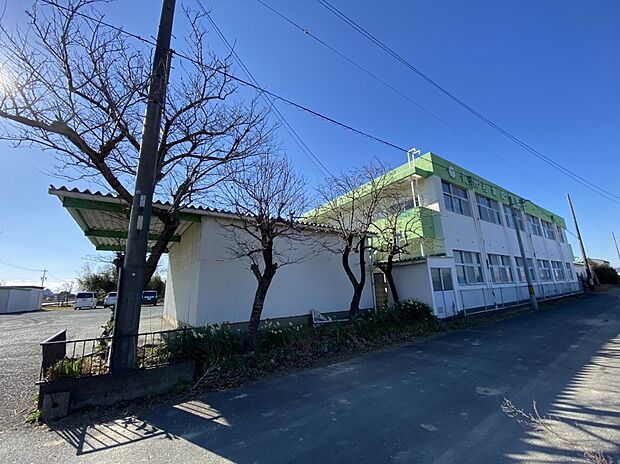 高洲若葉幼稚園(約900m)