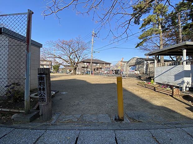 東若林児童遊園（約600m）