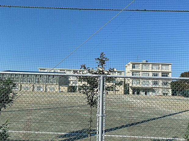 浜松市立飯田小学校（約850m）