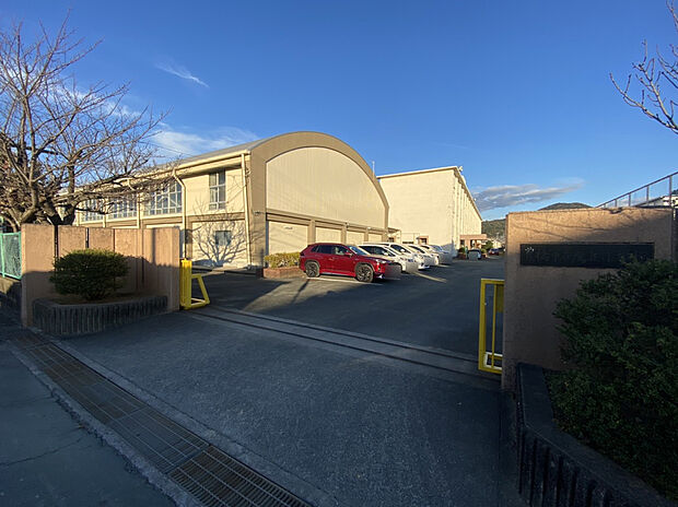 浜松市立泉小学校(約1,100m)