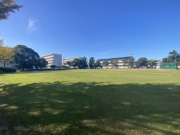 子安公園（約540m）