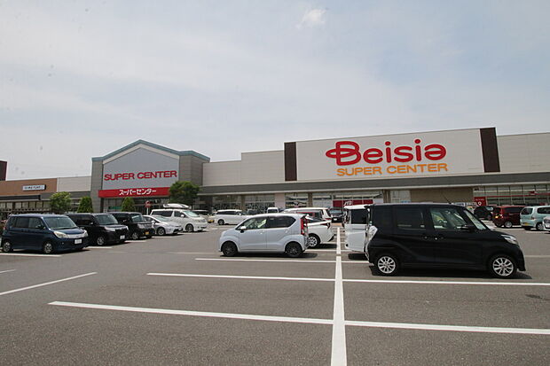 ベイシア太田モール店(約230m)