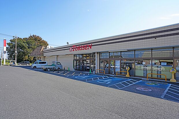 とりせん成島店(約750m)