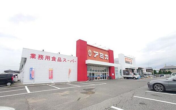 アミカ大垣北店(約650m)