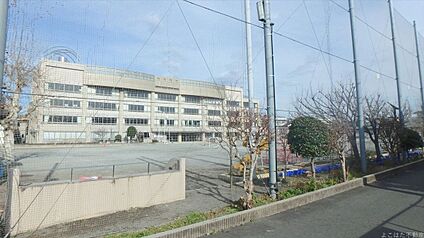 川崎市立稲田小学校 900m