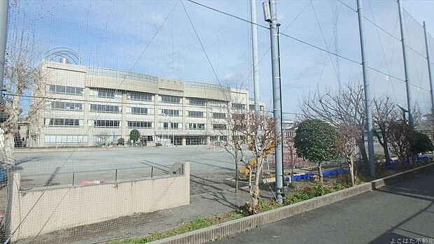 川崎市立稲田小学校（約900m）