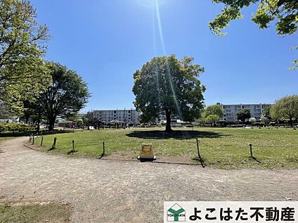 前原公園 1290m