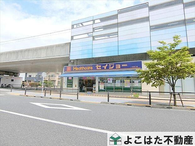 ヘルスケアセイジョー矢野口店（約840m）