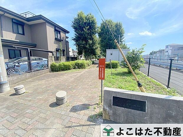 清水が丘緑道(約520m)