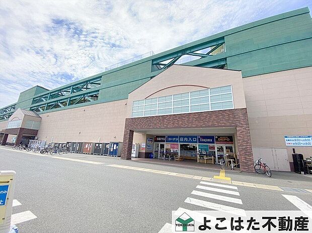 ホームセンターコーナン府中四谷店(約1,010m)