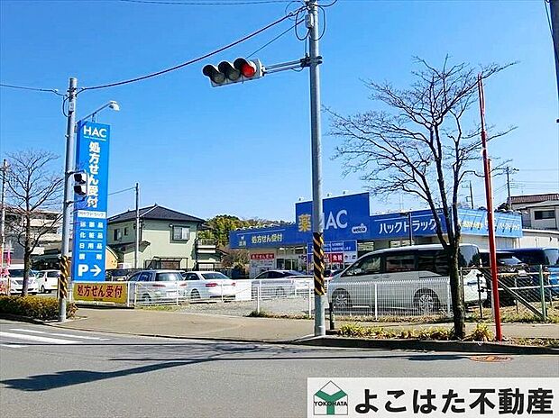 ハックドラッグ長沢店（約800m）